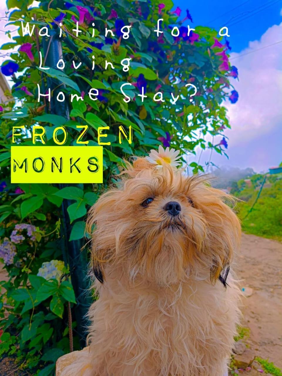 科代卡纳尔Frozen Monks别墅 外观 照片